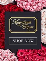 We did not find results for: Find A Local Florist Near Me 1800flowers Com