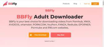 5 Recommended Ways to Safely Download Porn Videos from TKTube