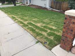It needs much more water than the other already established areas of your lawn. Had Someone Lay Sod A Few Days Ago Edges Seem To Be Turning Brown Can Someone Help Me Understand What S Going On Lawncare