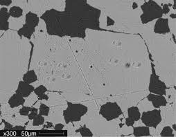 Assessment of grain-scale homogeneity and equilibration of carbon and  oxygen isotope compositions of minerals in carbonate-beari