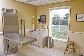 We emphasize individualized wellness plans for dogs and cats of all ages. Veterinary Exam Room Hospital Design Veterinary Veterinary Hospital