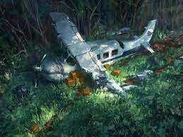 Would You Survive A Plane Crash Deep Into The Forest Forest Images Plane Crash Forest