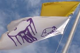 What To Do If You See a Jellyfish Warning Flag
