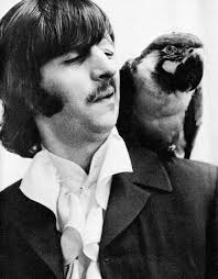 Discover 70 Beatles Mad Day Out 1968 and the beatles ideas