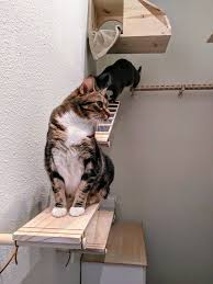 Cat Ramp Cat Furniture Cat Playground Etsy