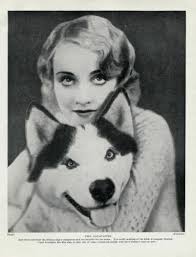 SIGNED TRANS-SIBERIAN ORCHESTRA AUTOGRAHED 3D POSTER CERTIFIED JSA LOA #  BB60777