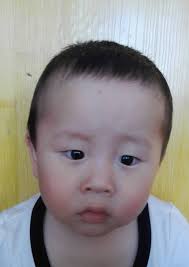 Fundraiser by Elizabeth Thorndike : HELP GET HENG MENG HOME