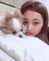 分享TWICE 的寵物們🐶🐱