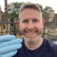 800+ "Darron" profiles