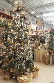Air plants have small scales on their. Christmas Trees The Family Tree Christmas Window Display Christmas Tree Decorations Plant Nursery