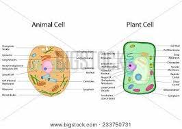 Maybe you would like to learn more about one of these? Education Chart Vector Photo Free Trial Bigstock