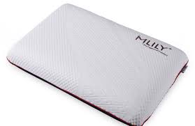 Mlily Canada Inc Manchester United Performance Classic Memory Foam Standard Pillow Reviews Wayfair