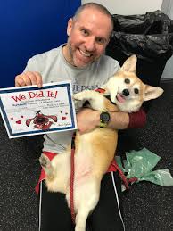 At furrylicious ® we promise a puppy experience like no other. Muki Grossberg On Twitter Meet Our New Corgi Lola We Rescued Her 8 Months Ago She S 10 Years Old And Very Cute She Just Graduated Basic Training From Sthubertsanimal Corgi Puppy Lola