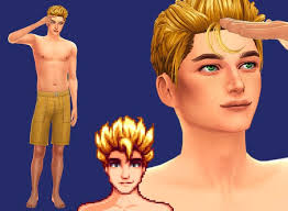 stardew valley sam sims 4 download