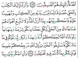 Imam di amerika serikat geli din syamsudin dicap radikal, pertanyakan makna toleransi. Surat Al Maidah Ayat 48 Beserta Hukum Tatjuitnya Brainly Co Id