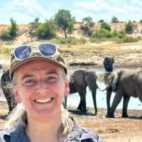 100+ "Dubray" profiles