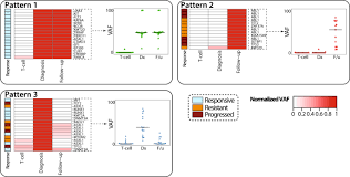 Yo maps, jay rox, princess natasha chansa & mic burner. Laying The Foundation For Genomically Based Risk Assessment In Chronic Myeloid Leukemia Leukemia