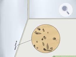 This simple fix will close the gaps between flooring without having to take up any boards. Simple Ways To Fix A Gap Between The Floor And The Wall