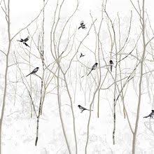 Fototapete Pattern Magpie Mit Bildern Skandinavische Tapete Tapeten Fototapete