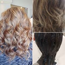 Redken Brownlights In 2020 Hair Blue Toning Shampoo Toning Shampoo