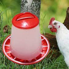 Check spelling or type a new query. Pets Empire Plastic Chicken Quail Poultry Feeder Drinker Waterer With Handle 1 5 Ltr Amazon In Garden Outdoors