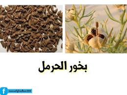 كيفيه استخدام البخور لتغير ذبذبات الطاقه لديك منى الغضبان Health Facts Food Place Card Holders Health Facts