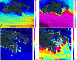 Widespread Deposition in a Coastal Bay Following Three Major 2017  Hurricanes (Irma, Jose, and Maria)