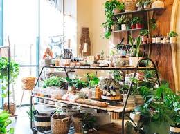 Ultimate Shopping Guide to San Diego: Small Businesses for Holiday Gifting 