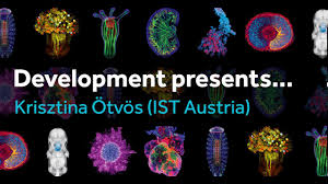 An international multicultural team to cover the full spectrum of technology from iron ore to the different finished products. Volume 142 Issue 19 Development The Company Of Biologists