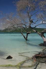 Morrocoy National Park 3 Venezuela South America Places To See National Parks
