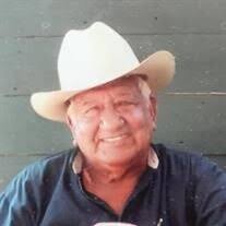 Rene Q. Solis Obituary
