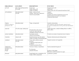 Cell Organelle Chart