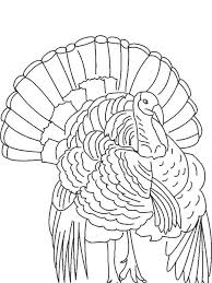Turkey Coloring Pages For Toddlers Turkey Is One Type Of Large Bird That Is Usually Used As A Dish Turkey Drawing Turkey Coloring Pages Animal Coloring Pages