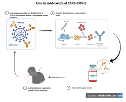 Bamlanivimab's name is a product of this process. This Is How The Monoclonal Antibody Therapy Works To Fight Covid 19