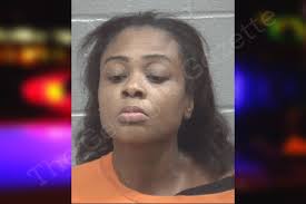 Traci Bridges — Columbia County Jail Bookings