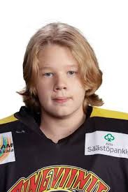 Joukkue Pirkkalan Pingviinit