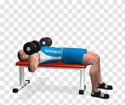 Bench Press Dumbbell Barbell Fly Flower Transparent Png