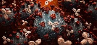L'importance des mécanismes relayés par le récepteur fcγr du fragment fc permet aussi de souligner les difficultés. Une Nouvelle Piste Pour Optimiser L Immunotherapie Anticancereuse