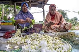 Boleh didapati di kawasan tropika dan beriklim panas : Bernama Melestarikan Tradisi Menjual Bunga Melur Di Pasar Khadijah Kota Bharu