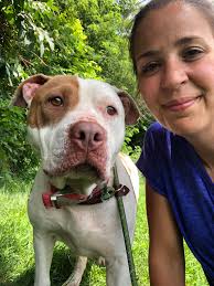 Mason County rescue pup updates wanted