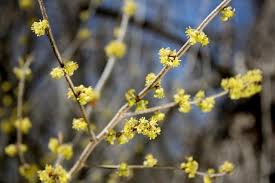 Check spelling or type a new query. Outdoor Illinois