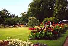 Google Image Result For Http Www World Guides Com Images Cologne Cologne Gard Germany Wonderful Places Botanical Gardens