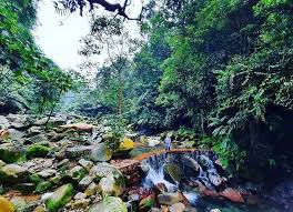Lembah Tepus Bogor Info lokasi serta harga tiket masuk devoyage bogor tempat wisata terbaru ada di kompleks nirwana residence fasilitas spot foto gambar rute jalan menuju ke sana transportasi angkutan umum akses sejarah selfie penginapan, destinasi liburan rekreasi piknik anak keluarga happening ngehtis menara. lembah tepus bogor