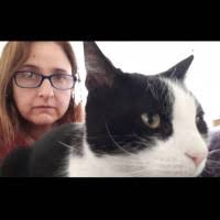 50+ perfiles de «Celauro»