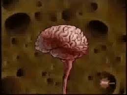 Spongebob Brain Page 1 Line 17qq Com Share the best gifs now >>>. spongebob brain page 1 line 17qq com