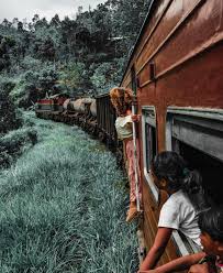 Adventure awaits around every bend! Take in the breathtaking views on the scenic train to Ella, a journey that will leave you mesmerized.😍 #BandarawelaHotels #TrainToElla #ExploreSriLanka #ScenicViews #HillCountryBeauty #Wanderlust #SriLankaAdventures