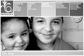 S P R I N G B O A R D