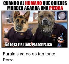 Memes De Firulais Photos Facebook Use kapwing to discover, create, and share trending memes and posts with your friends and family. memes de firulais photos facebook