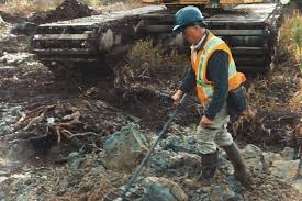 The Curse Of Oak Island Season 8 Will The Series Return Fans Are Waiting For History S Renewal Announcement Econotim In 2020 Oak Island Mystery Oak Island Island