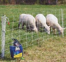 Wireless or electronic dog fences are a safe, effective & economical solution to keeping your dogs out of trouble. Electric Fence Inspection Internachi